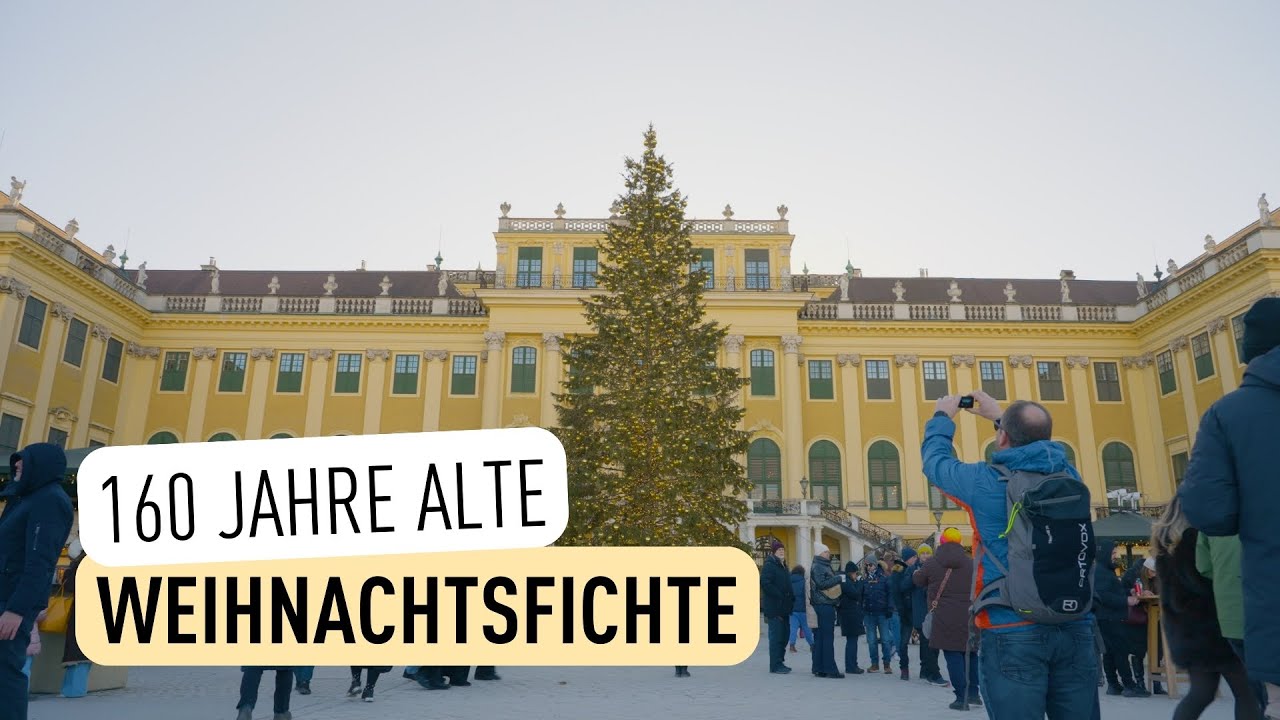 18-Meter-Überraschung für unsere Elefanten I Tiergarten Schönbrunn