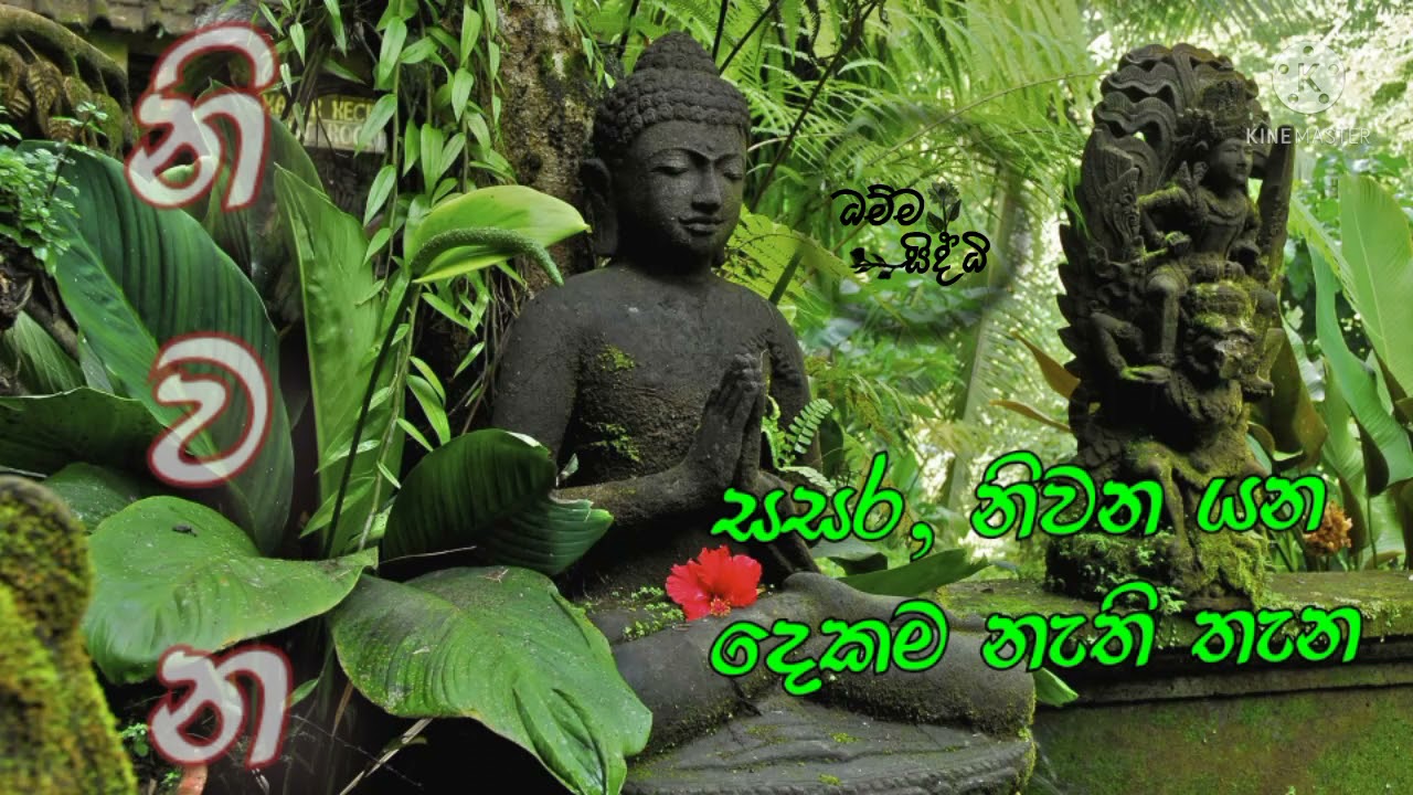 වෙච්ච දේ තමයි වෙන්ඩ තිබිච්ච දේ ||  පූජ්‍ය ගුරුගොඩැල්ලේ ධම්මසිද්ධි හිමි || @dhammasiddhi