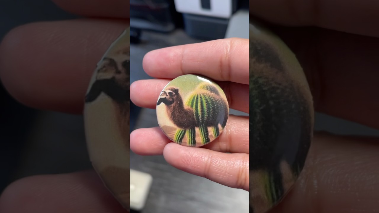 Tob tobi top tob tobi top 🌵🐪 #italianbrainrot #brainrot #diy