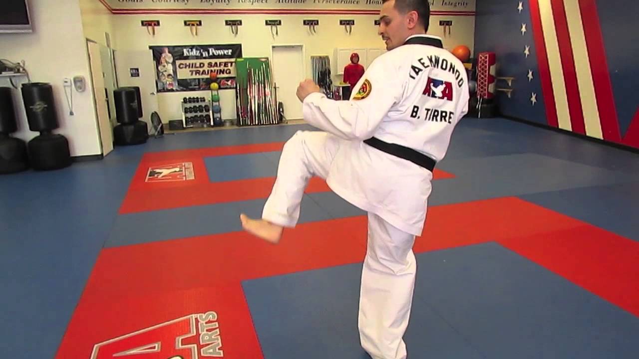 ATA Reverse Side Kick