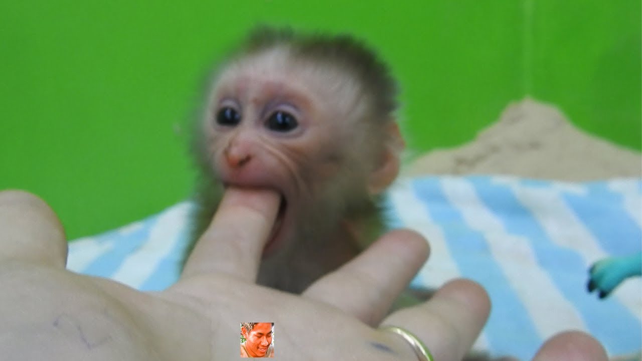 Mom Help Baby Luna Take Sand From Mouth's Luna