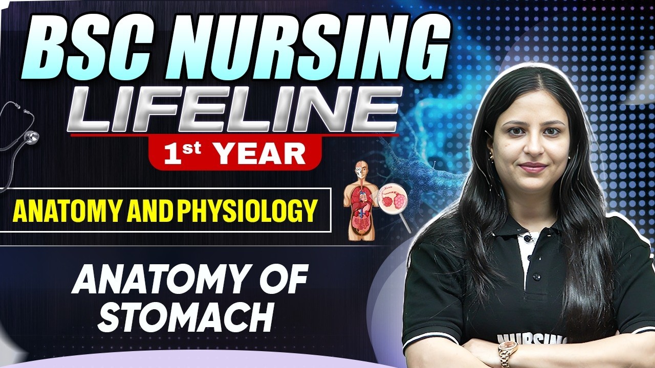 Anatomy Of Stomach | BSc Nursing 1st Year | Lifeline Batch | #bscnursing1styear