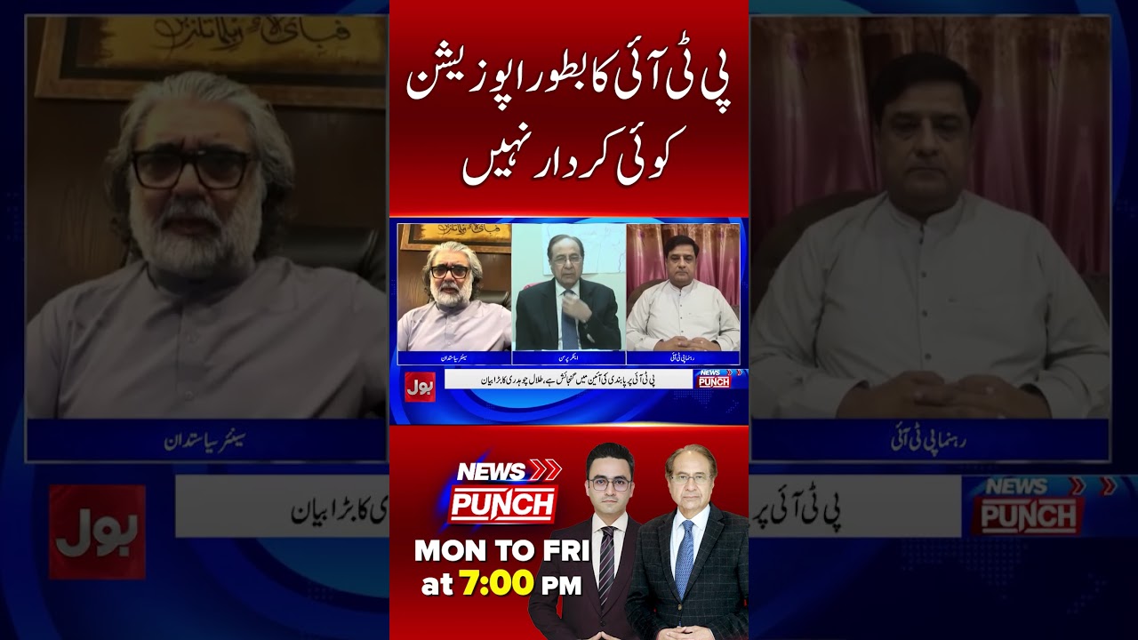 &ldquo;PTI Has Failed to Play Its Role as the Opposition&rdquo; | News Punch