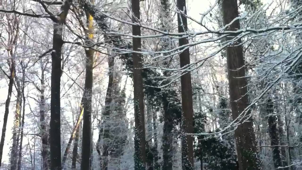 Winter in Belgium full version