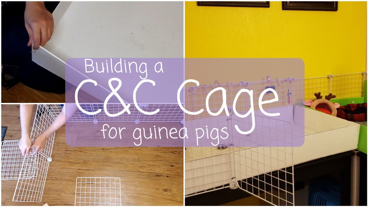 How to Build C&C Cage for Guinea Pigs | DIY Tutorial