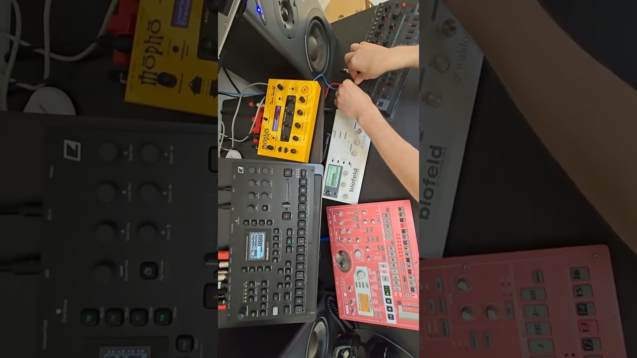 umba - octatrack, dsi mopho, waldorf blofeld, korg electribe, behringer td3