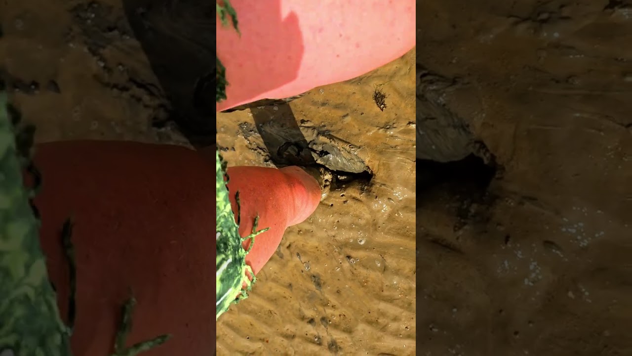 She loves a devine muddy barefoot sinking 🦶🏼👣☺️