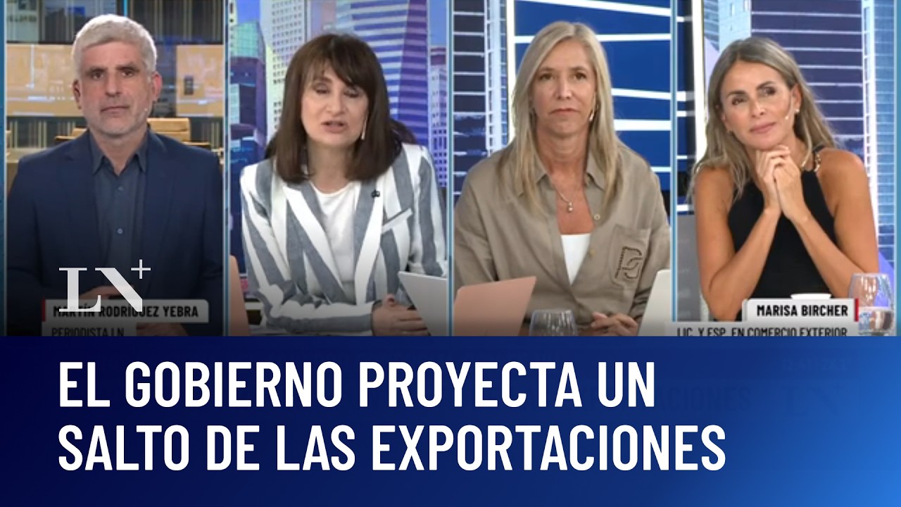 Alianza estratégica con Estados Unidos: sectores argentinos bajo amenaza