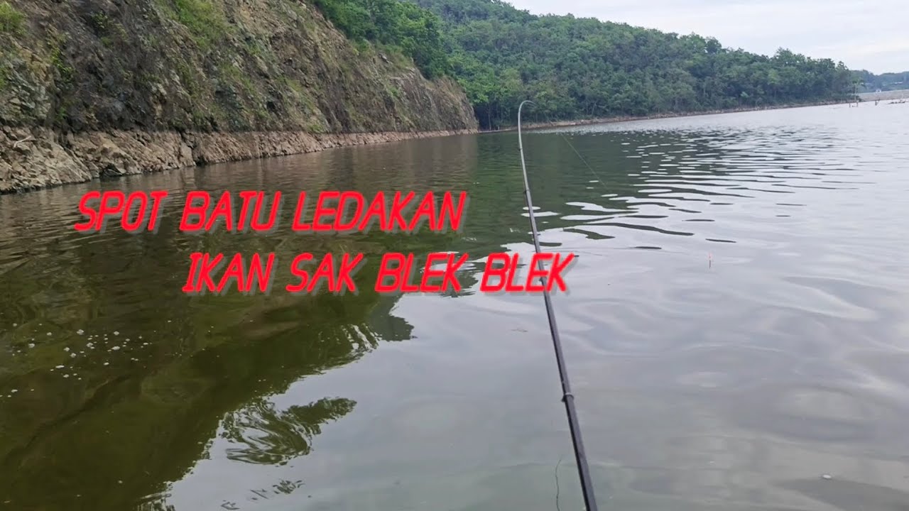 Waduk bendo terkini||tegek aquakill krava dibuat hampir hancur melawan ikan monster