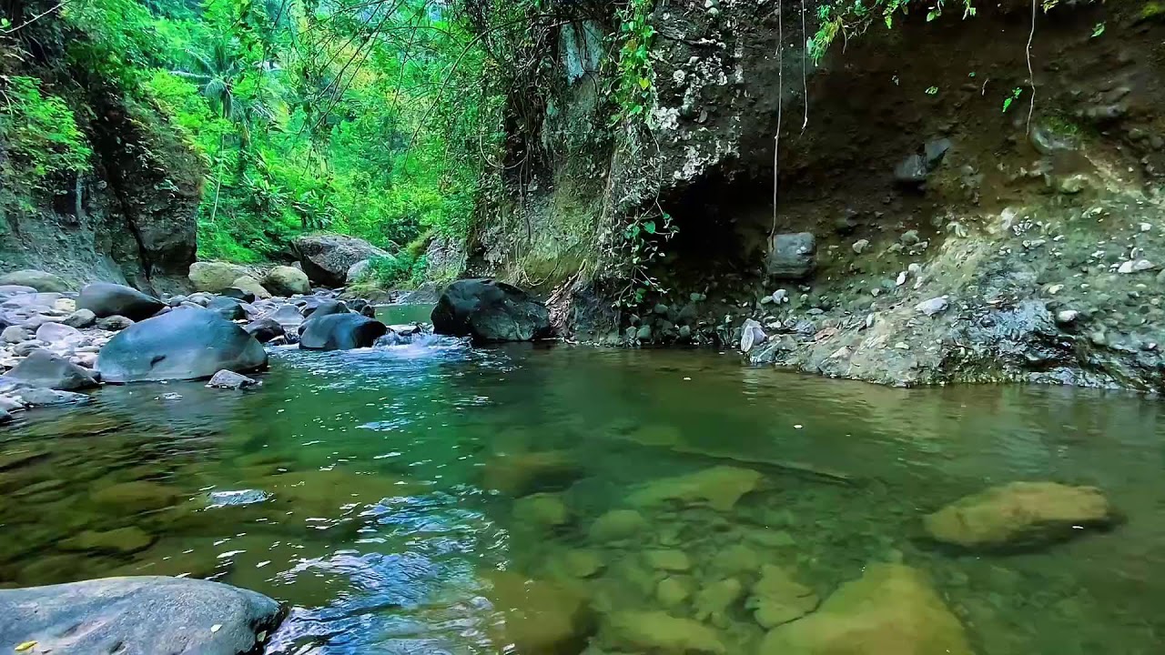 Mountain Stream Water Flow, Forest River Sounds, Sleep White Noise