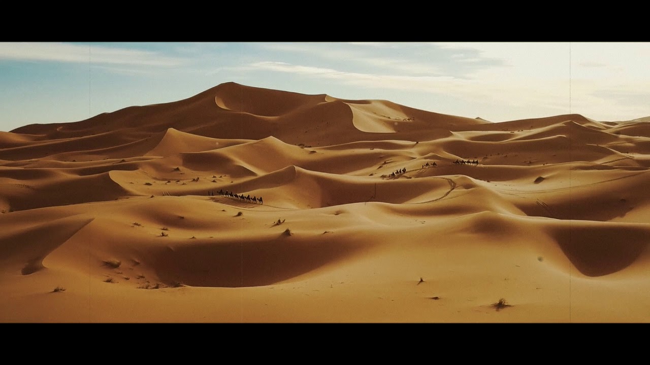 Wav-E - Desert Princess