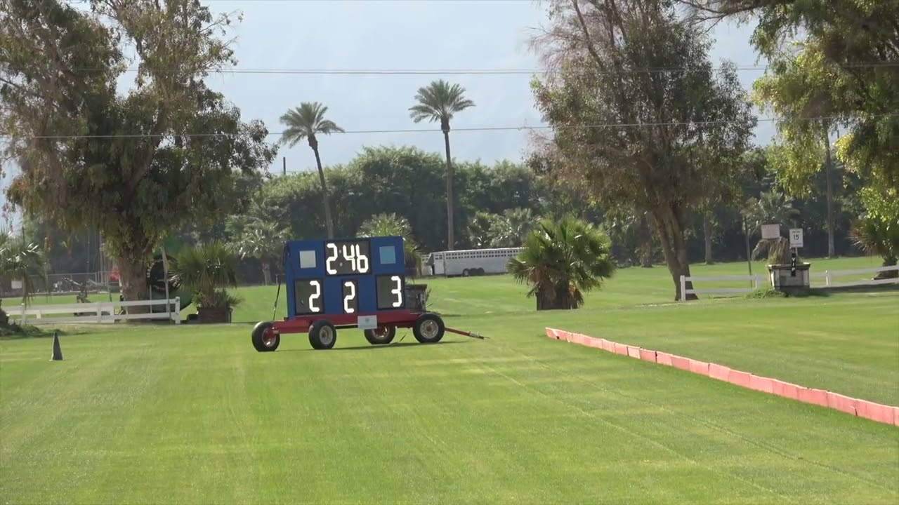 21526 PERSYST V BUSH LEAGUE
