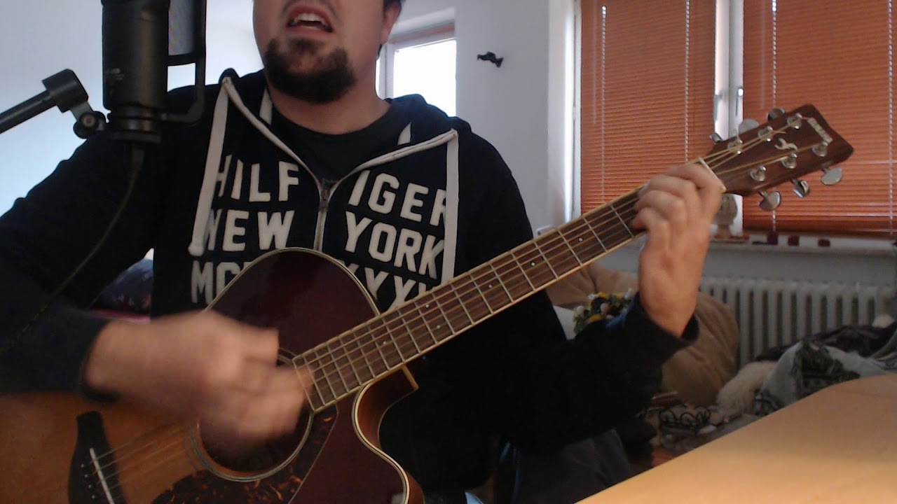 Mr. Hurley und die Pulveraffen - Ich Kanone dich nicht leben (Akustik Live-Cover)