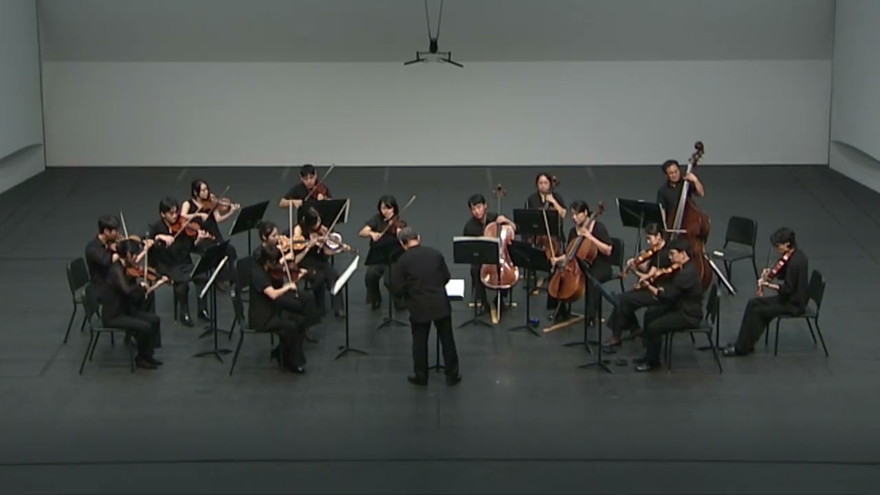 J.S. Bach: Brandenburg Concerto No. 3 in G Major, BWV 1048: 대전아트오케스트라 (지휘/윤성규)