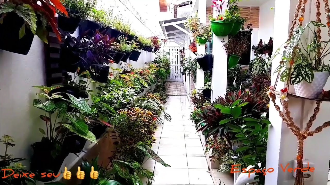 Várias Espécies de plantas!!Transformei minha casa num paraiso verde jardim