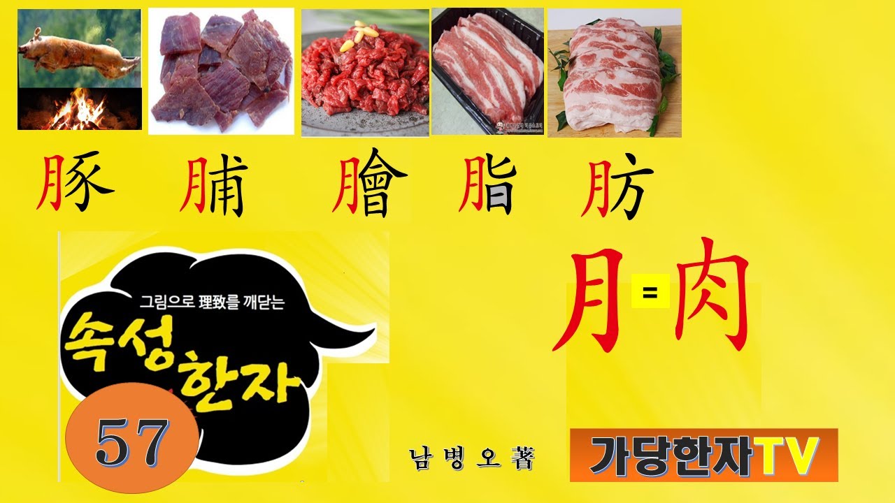 57강 달월月 육달월  고기육肉