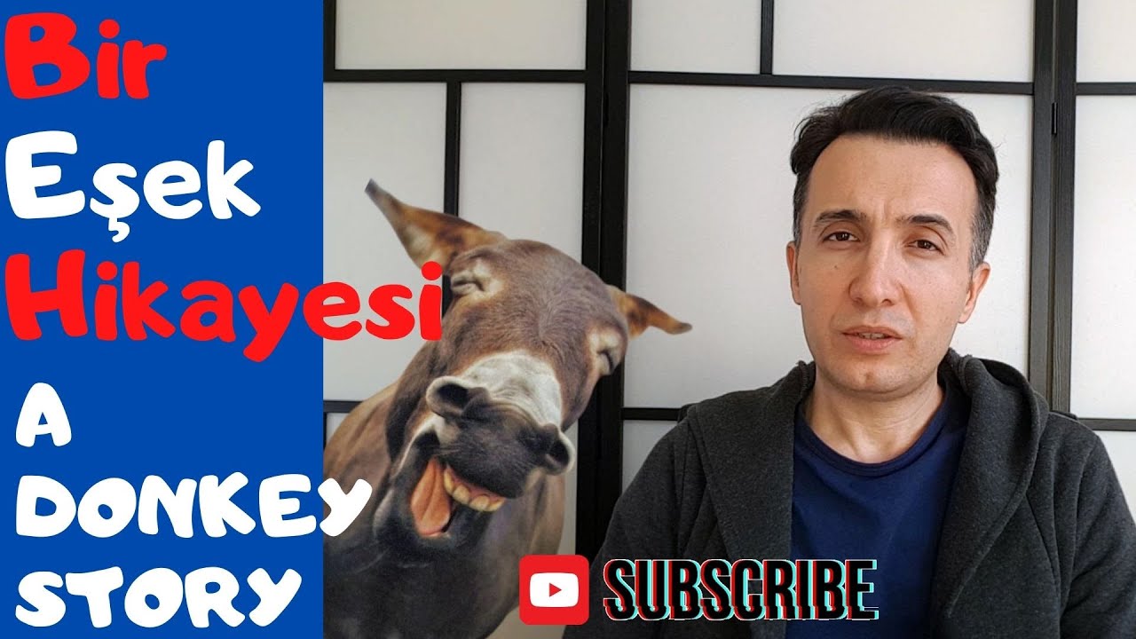 Turkish Story / Bir Eşek Hikayesi - A Donkey Story