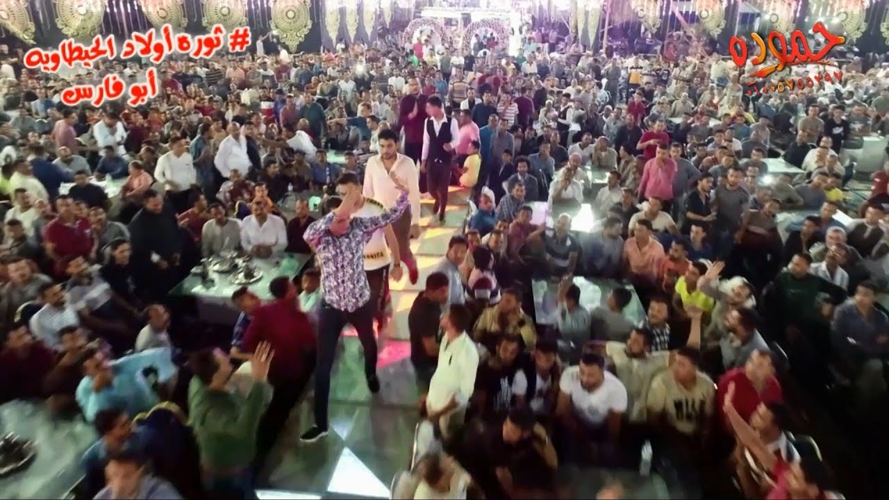 استقبال القشاش وترحيب من الفرح كلو ~ ثوره الحيطاويه - ابو فارس - سد خميس - سيدي سالم