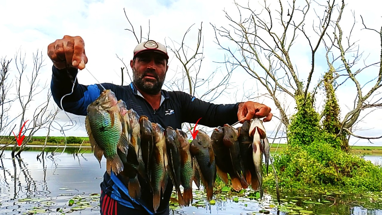 ACHEI MAIS UM LUGAR SECRETO DAS BRUTAS! SERÁ que os pescadores vai achar o lugar da gigantes!?