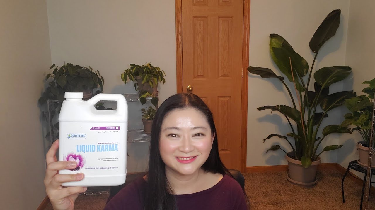Botanicare Liquid Karma Review | Supplement | Gardening