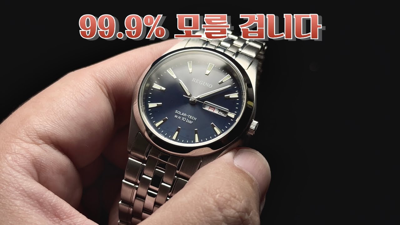 아마 처음 들어보셨을 겁니다 시티즌 레구노