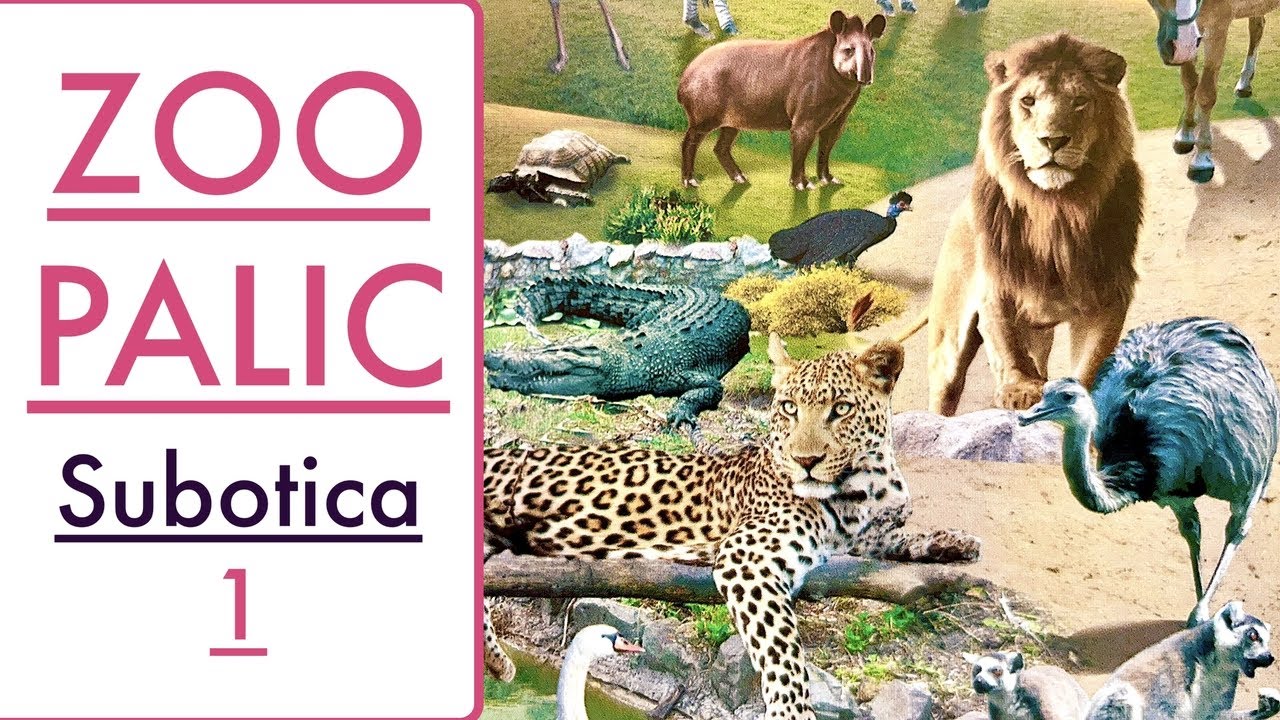 Зоопарк PALIC Суботица 2024 - регион Воеводина. PALIC Zoo Subotica - Vojvodina region