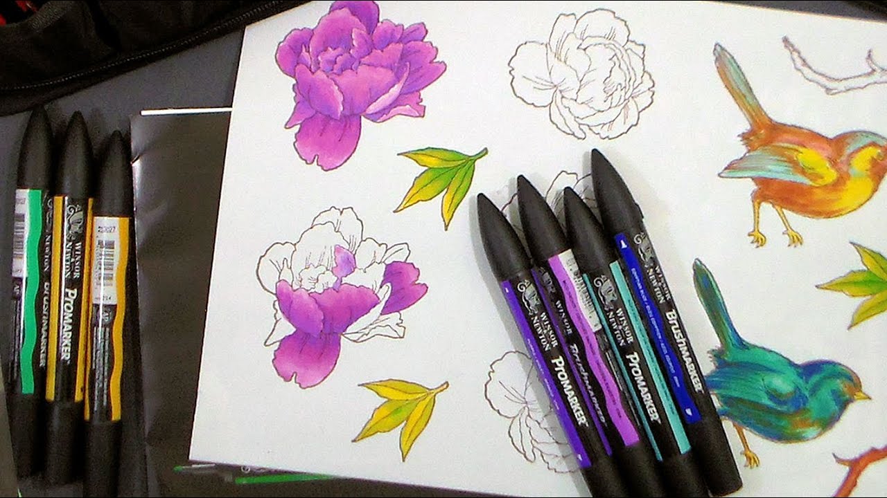 PROMARKER & BrushMarkers by Winsor & Newton Review and DEMO