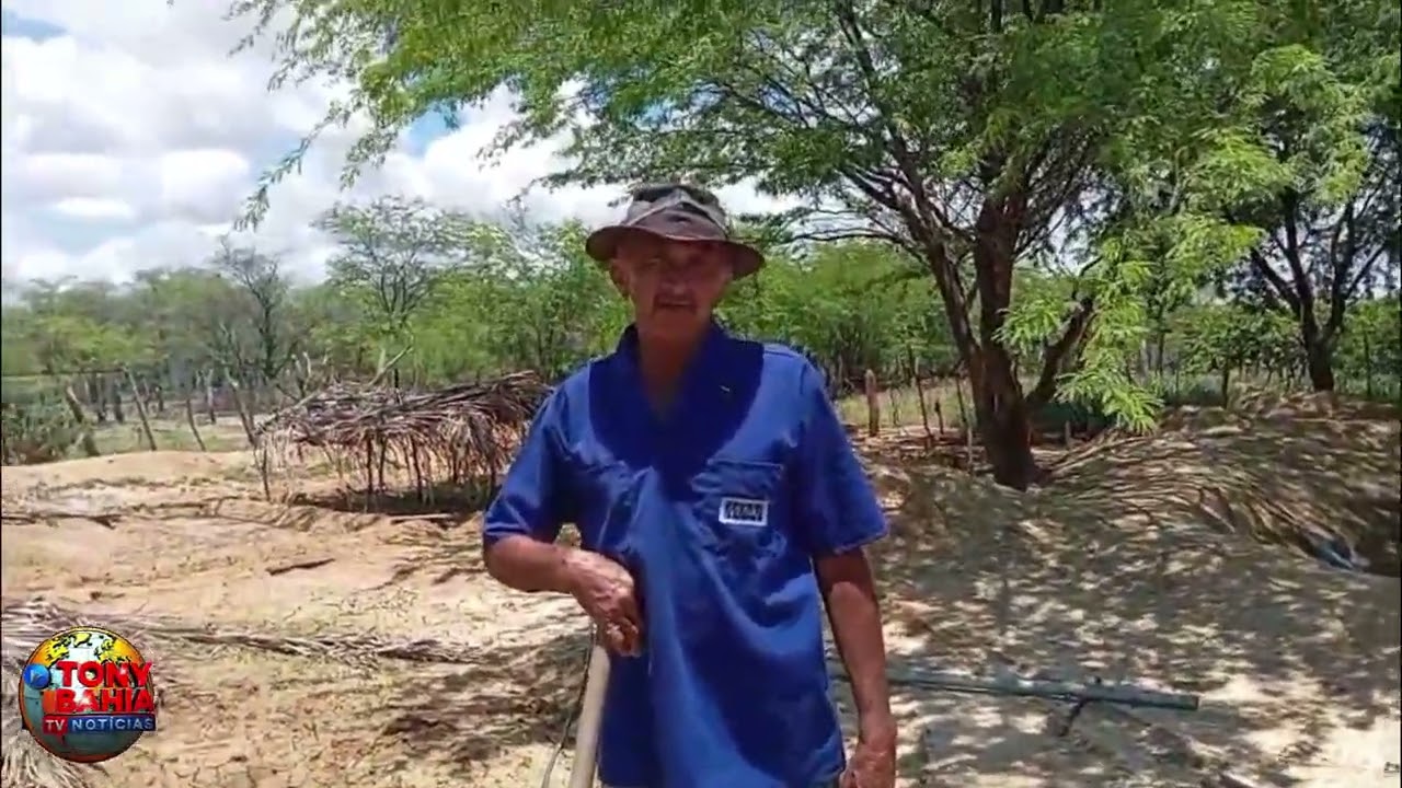 Barra do Tarrachil-BA: Ferrinho de Manoel de Arquino falou sobre o plantio de milho na Lagoa Azul.