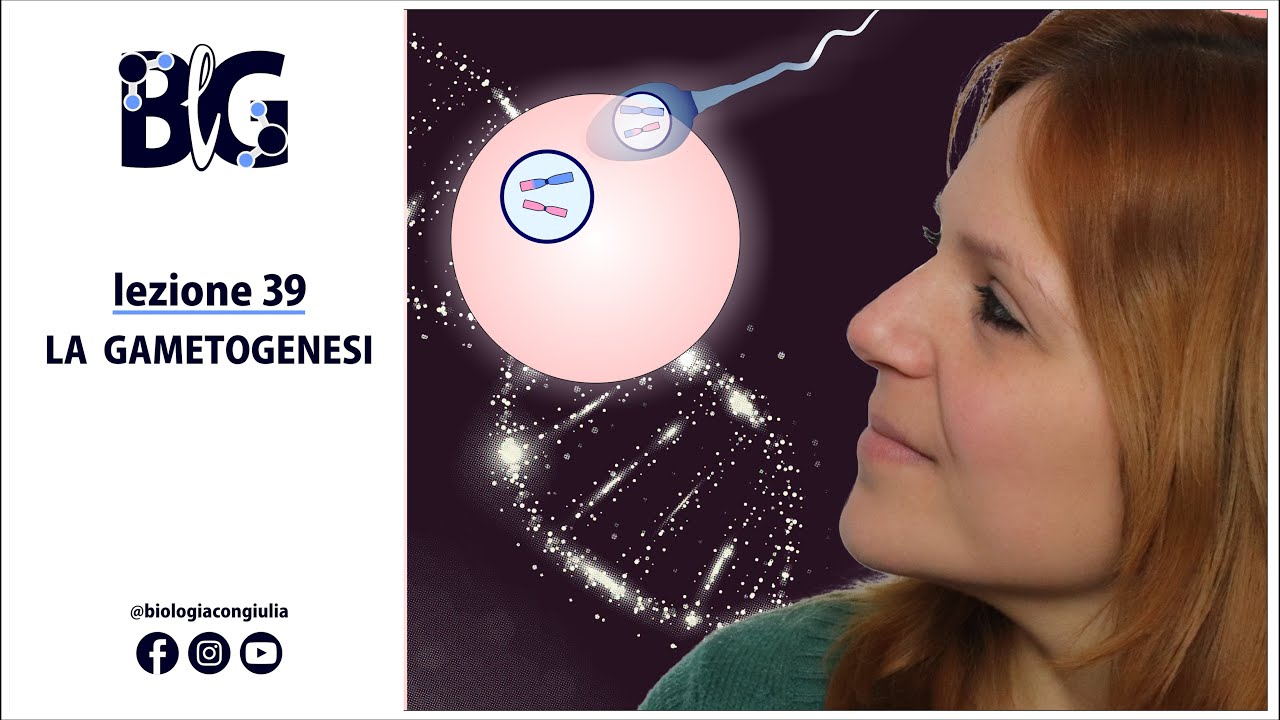 La GAMETOGENESI - spermatogenesi, ovogenesi e fecondazione