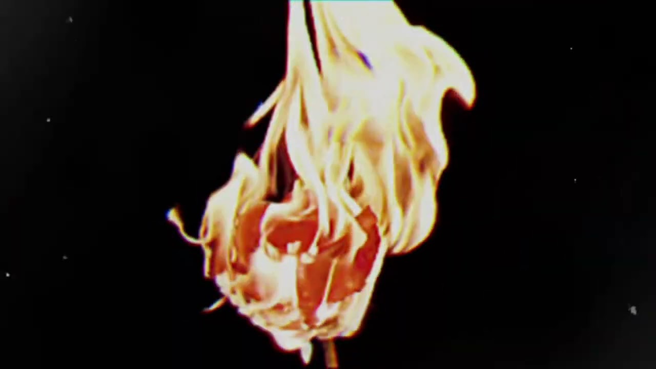 Ghostly - Silence in the hollows (Lyric Video)