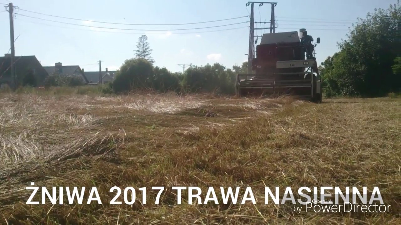 Żniwa 2017 trawa nasienna Case IH 541 dźwięk silnika