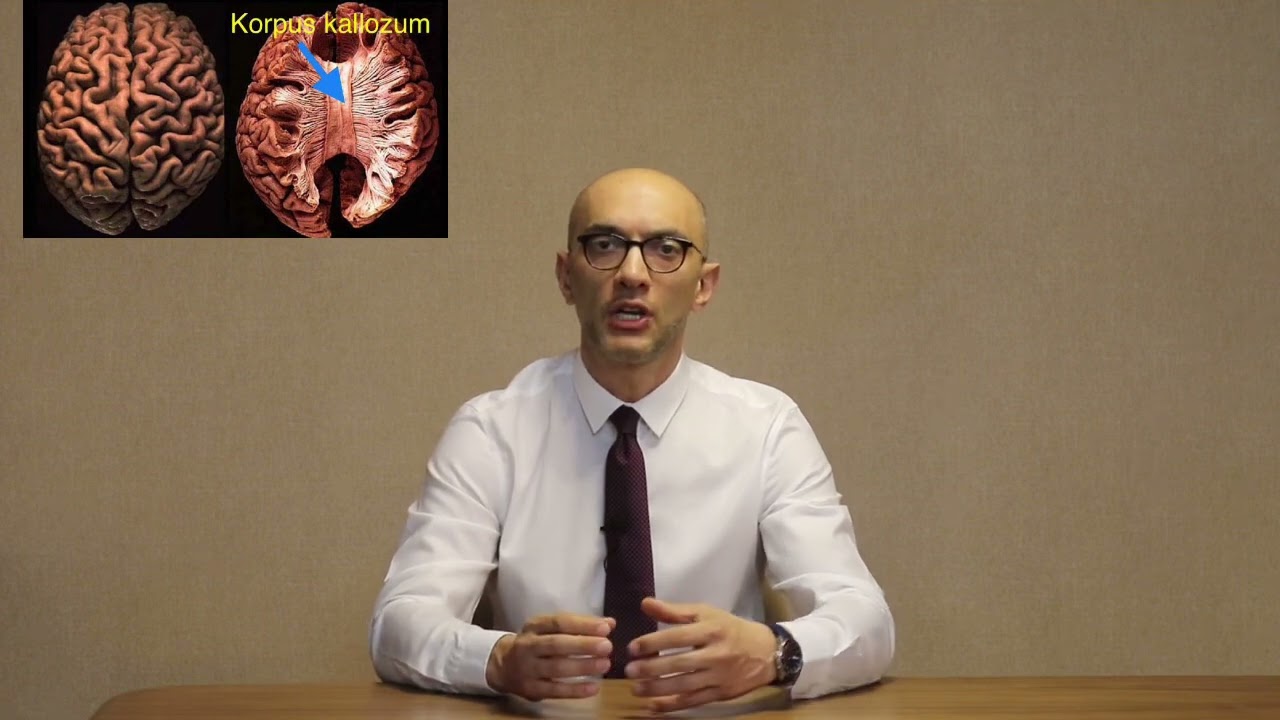 Bebeğin beyninde genişleme (Ventrikülomegali) nedir?