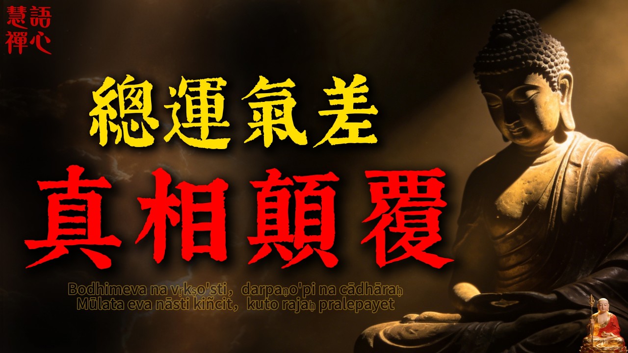 別再花錢算命看風水了！佛陀揭開“命運”的驚人真相，讀懂瞬間改#因果報應 #算命 #風水#佛學智慧 #人生哲理 #心經 #覺醒 #中年危機 #內耗 #放下