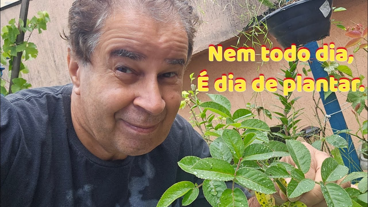 Amanheceu chovendo… e o jardim também ensina a esperar