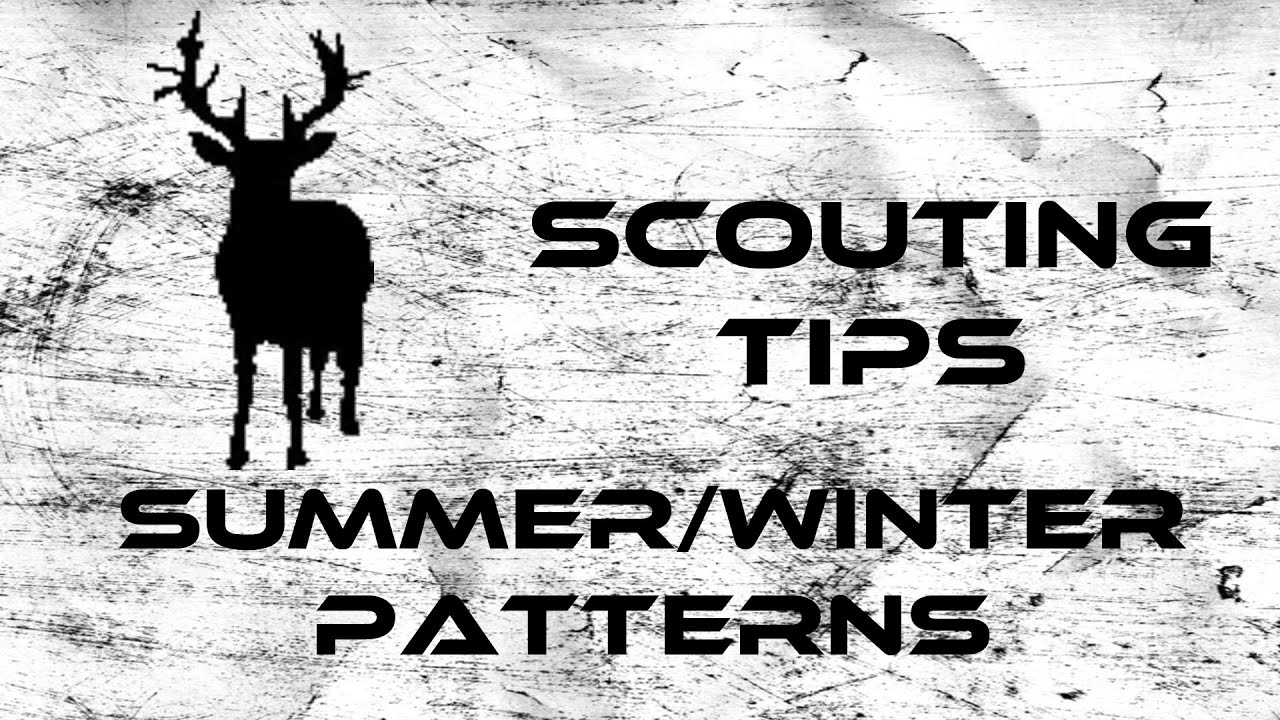 Scouting Tips: Summer/Winter Patterns