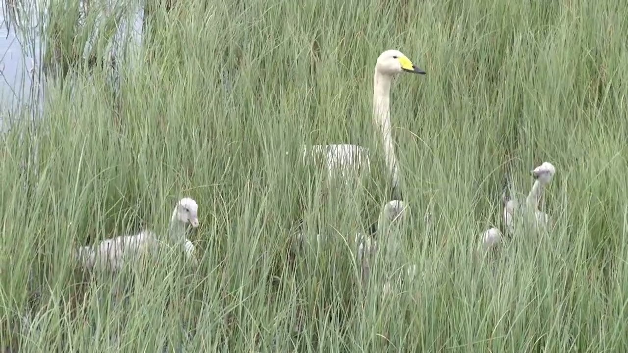 Het Varanger nationaal park