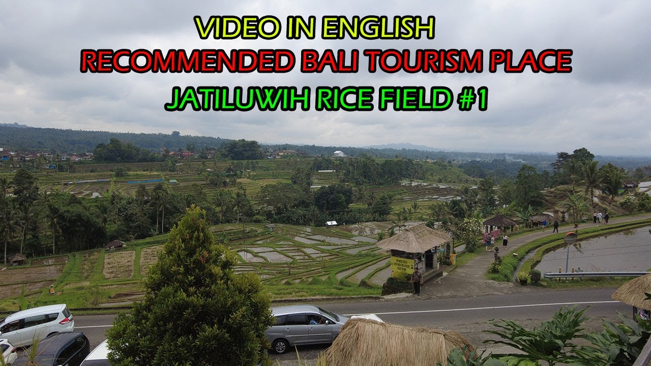JATILUWIH RICE TERRACE, BEDUGUL TOUR ~ Bali Travel