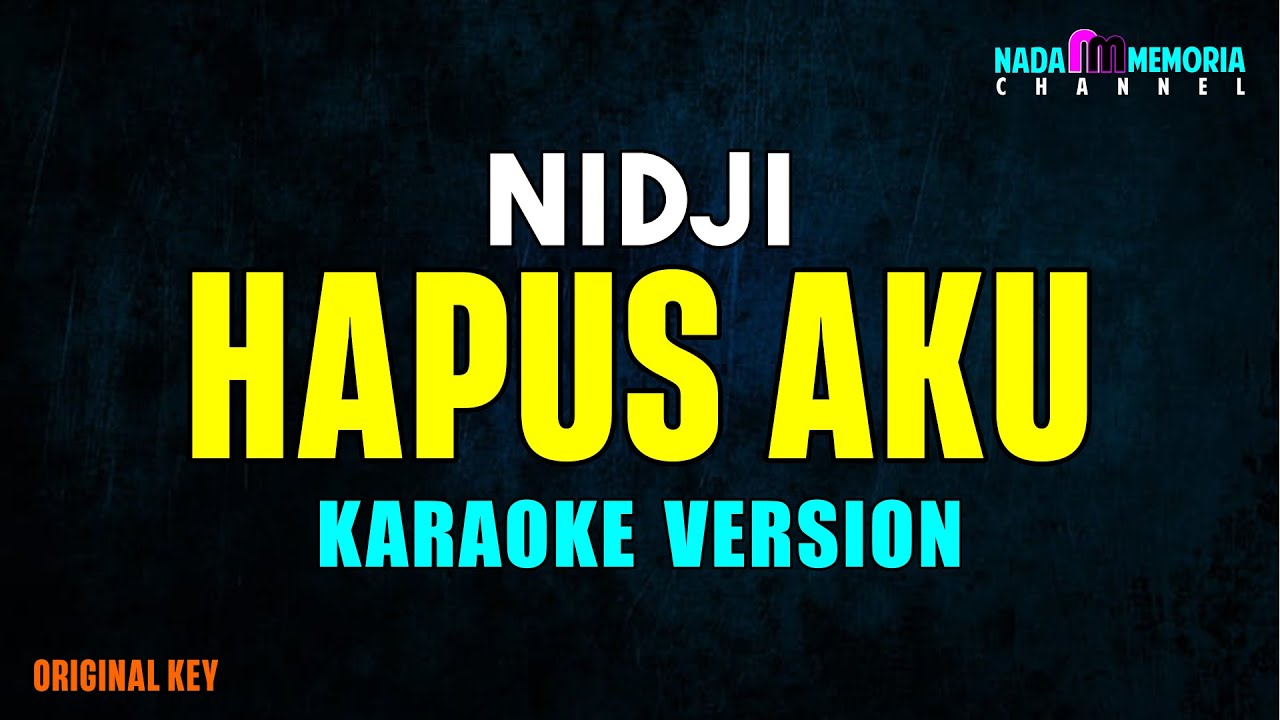 Nidji - Hapus Aku (Karaoke Version)