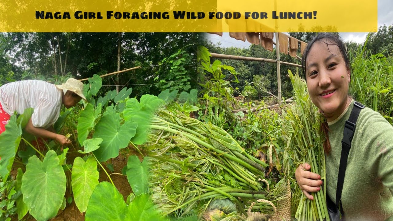Naga Girl Foraging Wild Food Resources | Churang, Ferns,Taro leaves for Lunch | Episode 2|