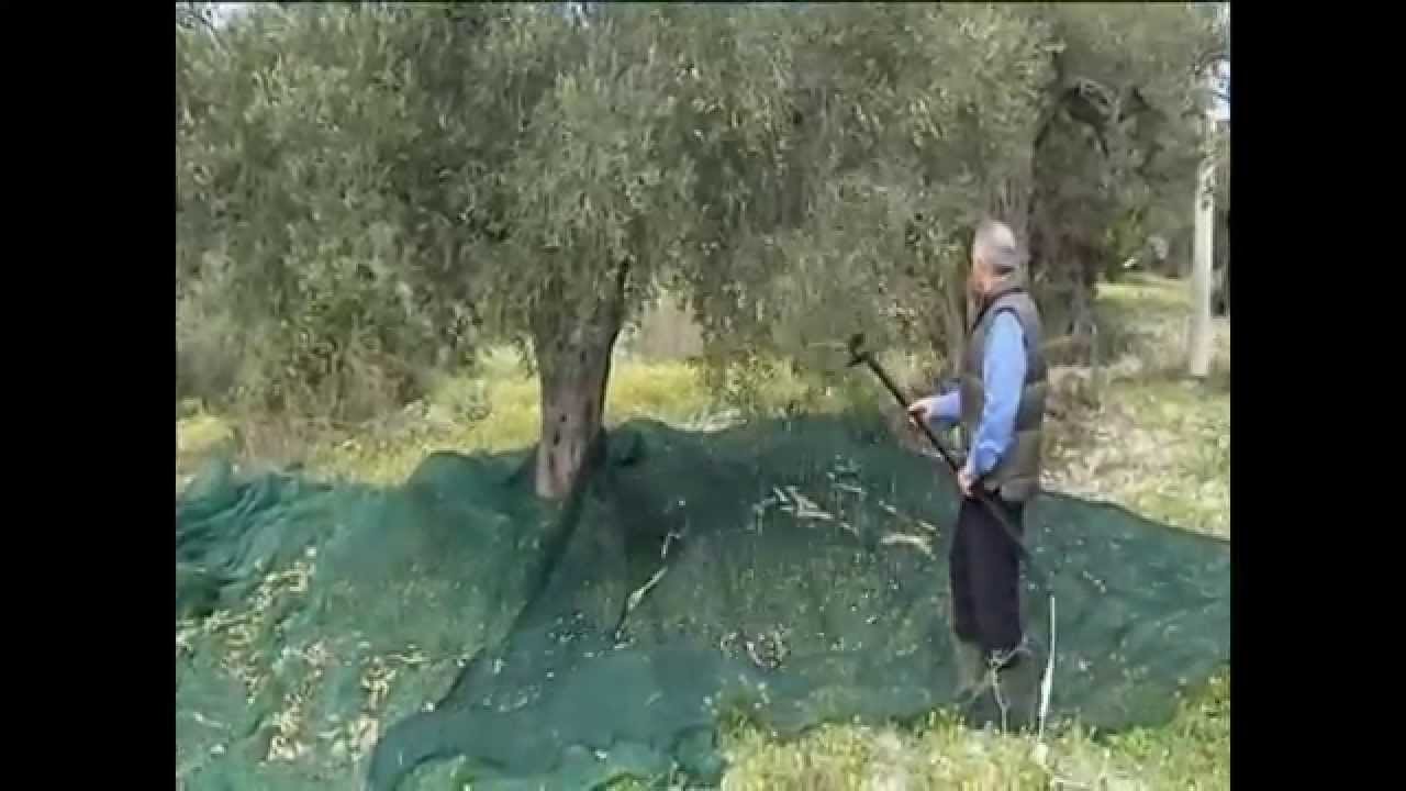 Brumi Olispeed &Epsilon;&lambda;&alpha;&iota;&omicron;&rho;&alpha;&beta;&delta;&iota;&sigma;&tau;&iota;&kappa;ό &mu;&eta;&chi;ά&nu;&eta;&mu;&alpha; - www.toolhouse.gr