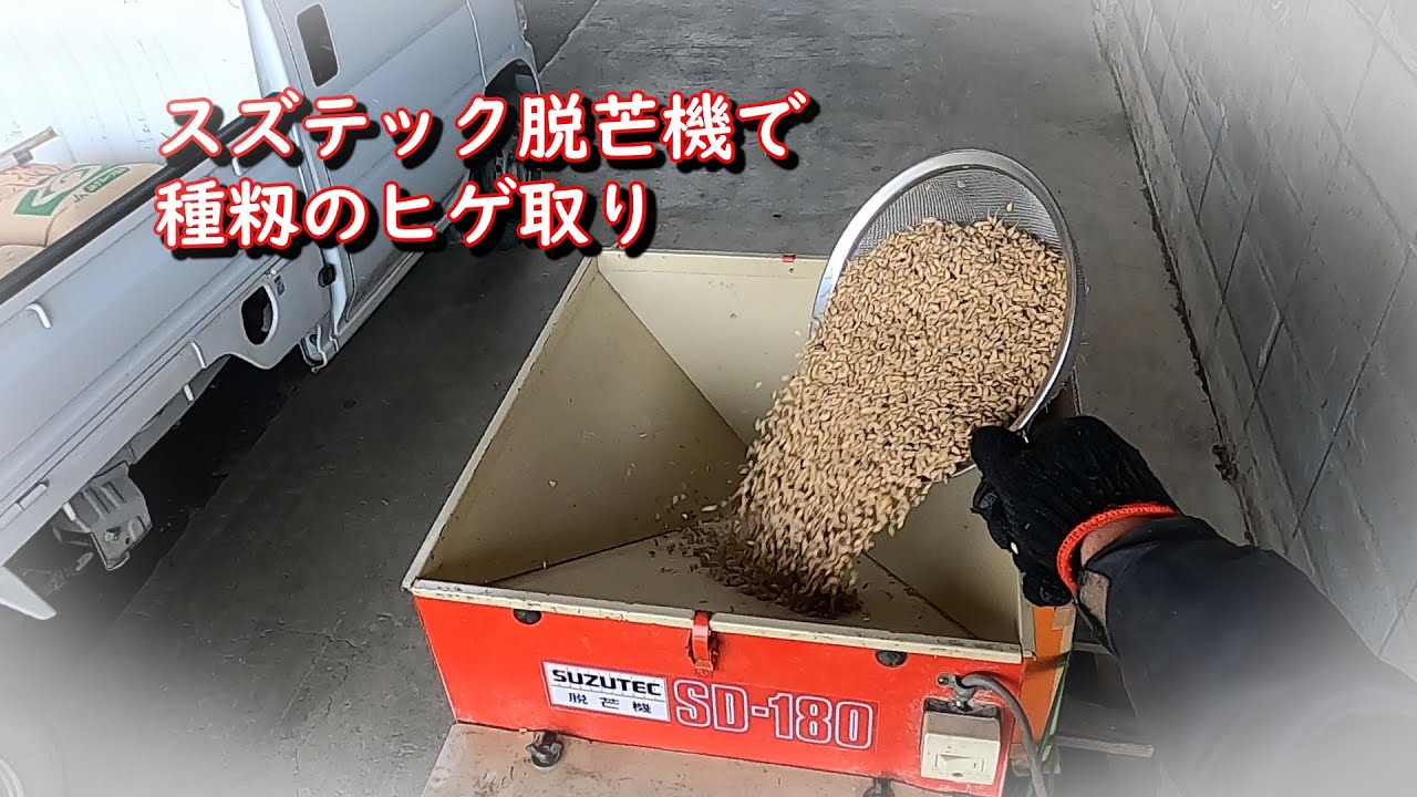 スズテック脱芒機で種籾のヒゲ取り