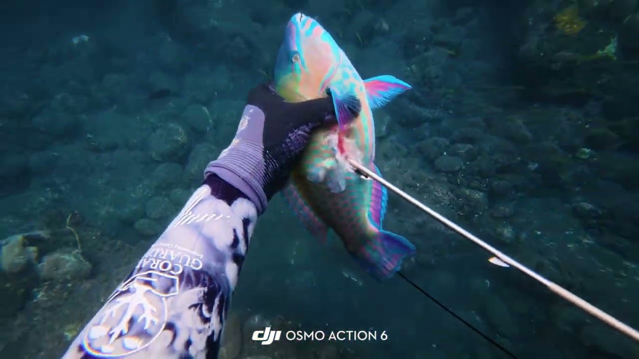 Episode 1 : Sessions détente chasse sous marine a la possession 🐟🇷🇪