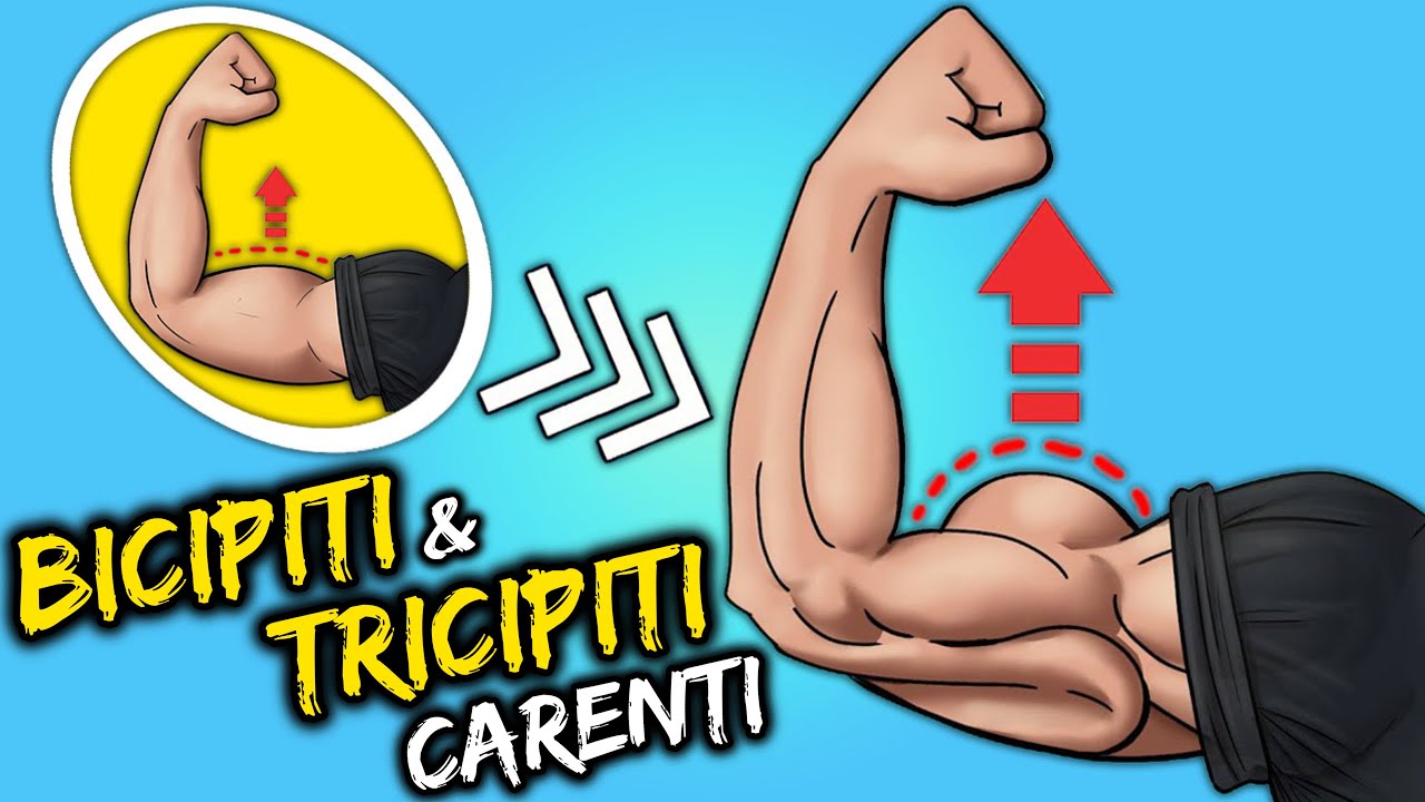 SCHEDA BRACCIA - Ecco ESATTAMENTE come Allenarle per BICIPITI e TRICIPITI ENORMI 💪🏻