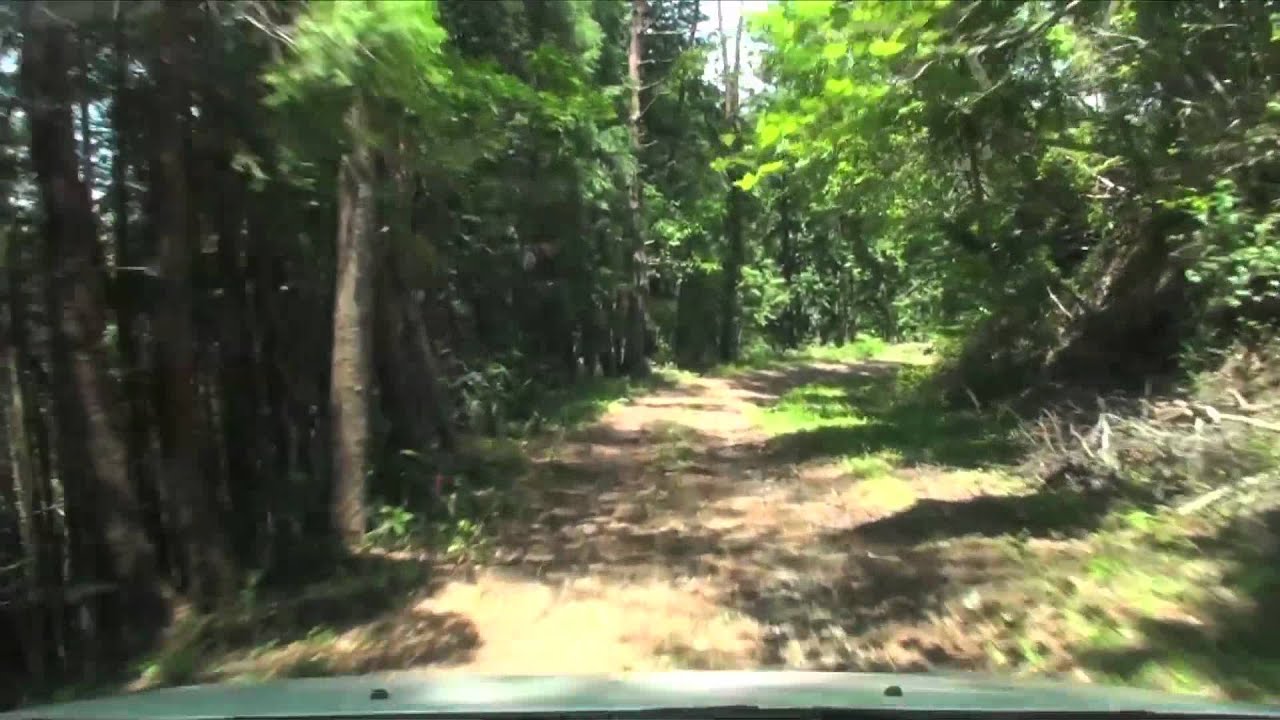 [酷道]国道54号 赤名峠