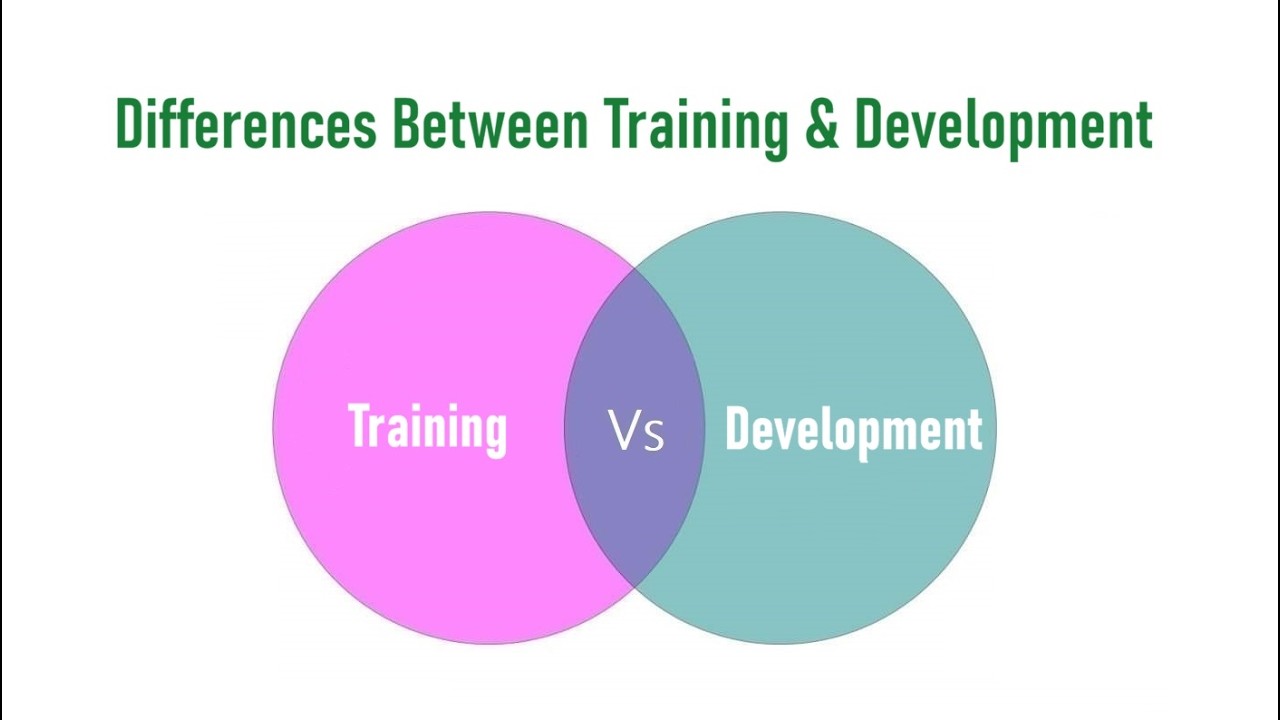 Differences Between Training and Development