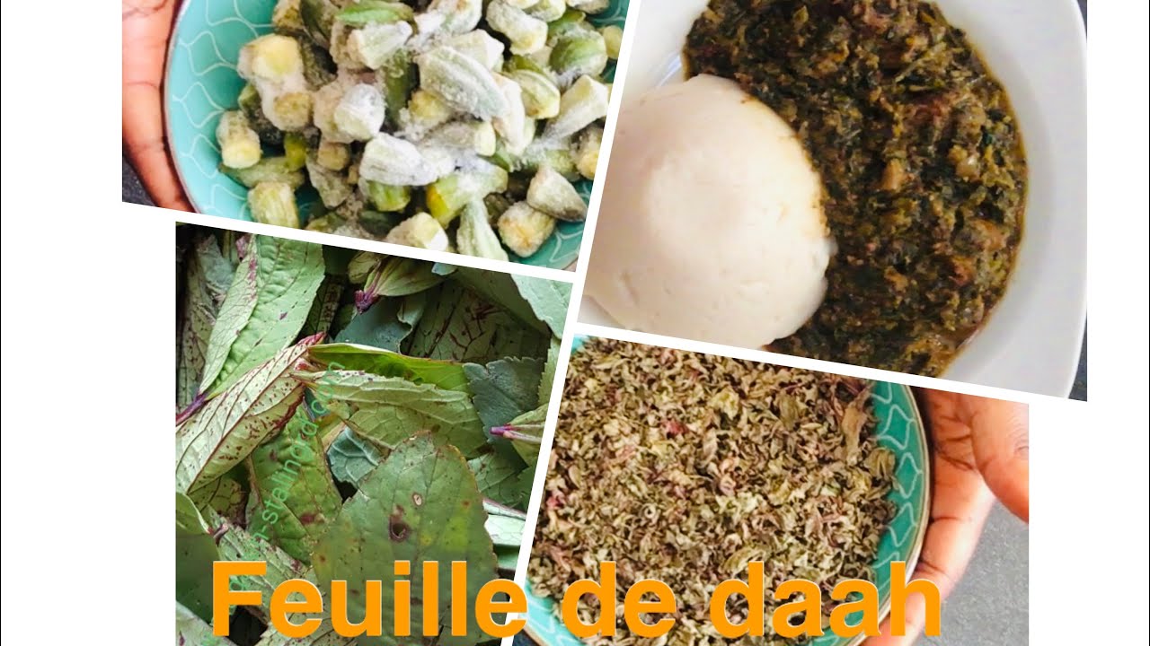 Comment cuisiner la sauce daah(feuilles de bisssap) facile et très bon 😋😋