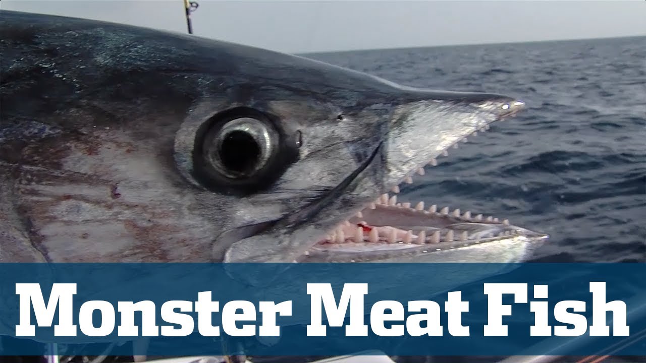 Monster Meat Fish Seminar - Florida Sport Fishing TV - Kingfish, Wahoo, Tuna