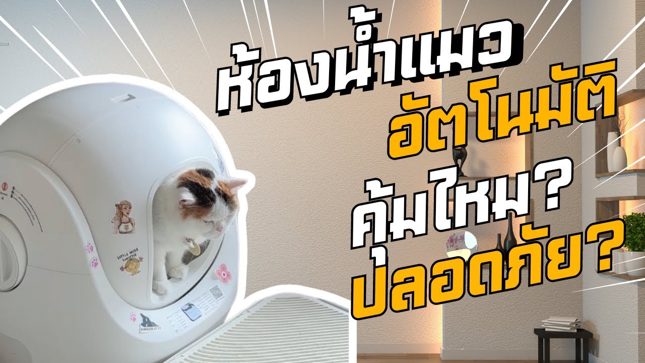 รีวิวหลังใช้ห้องน้ำแมวอัตโนมัติ 1 เดือน