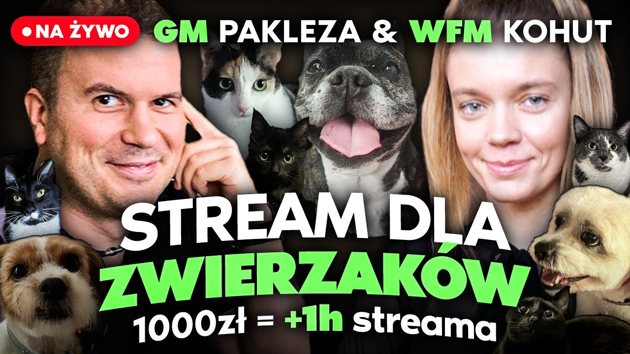 PRZEDŁUŻANY STREAM - Zbieramy pieniądze dla zwierzaków!