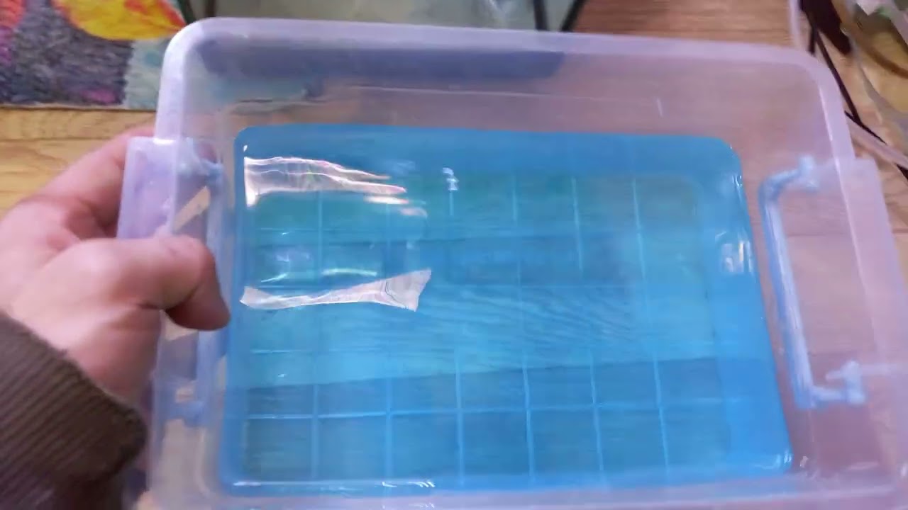 Trans genetik tetra ve zebra üretim yumurtlamaları hakkında bilgi